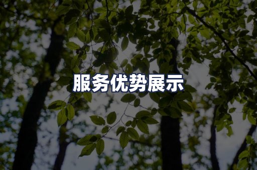 服务优势展示